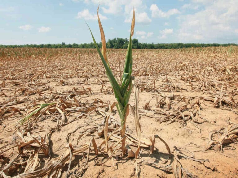 Don’t Let Our Future Dry Up