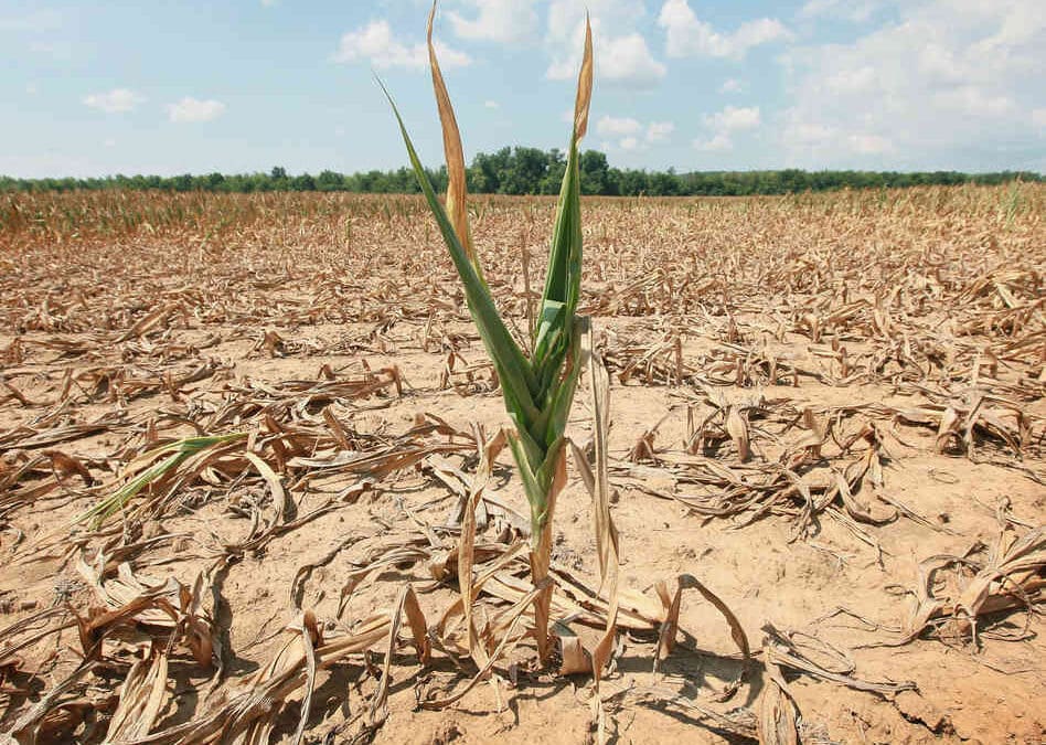 Don’t Let Our Future Dry Up