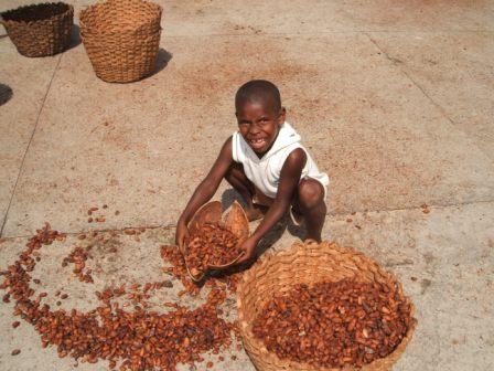 The Bitter Truth About Chocolate