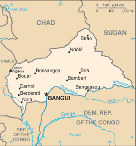 The Disappearing State of the Central African Republic