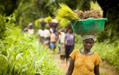 Climate Change: A Distinctly Gendered Issue