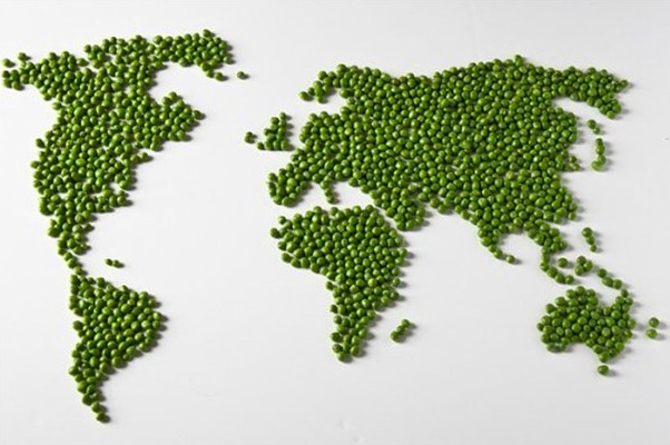 A Side of World Peas, Please