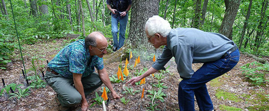 The Human Side of Agro-Forestry