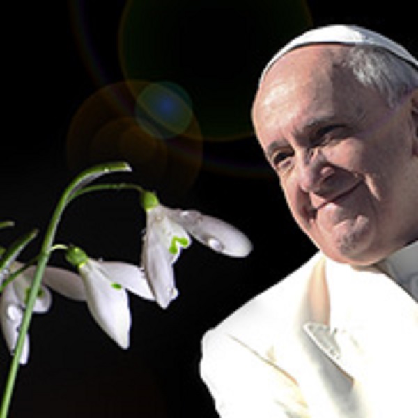 Not My Pope?