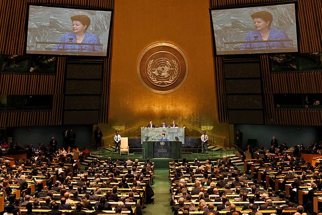 The UN Leadership Team and the Non-Aligned Movement