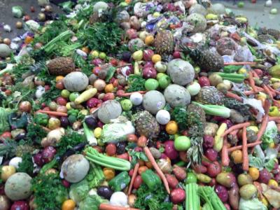 The Hunger Games: Food Waste in the Developing World