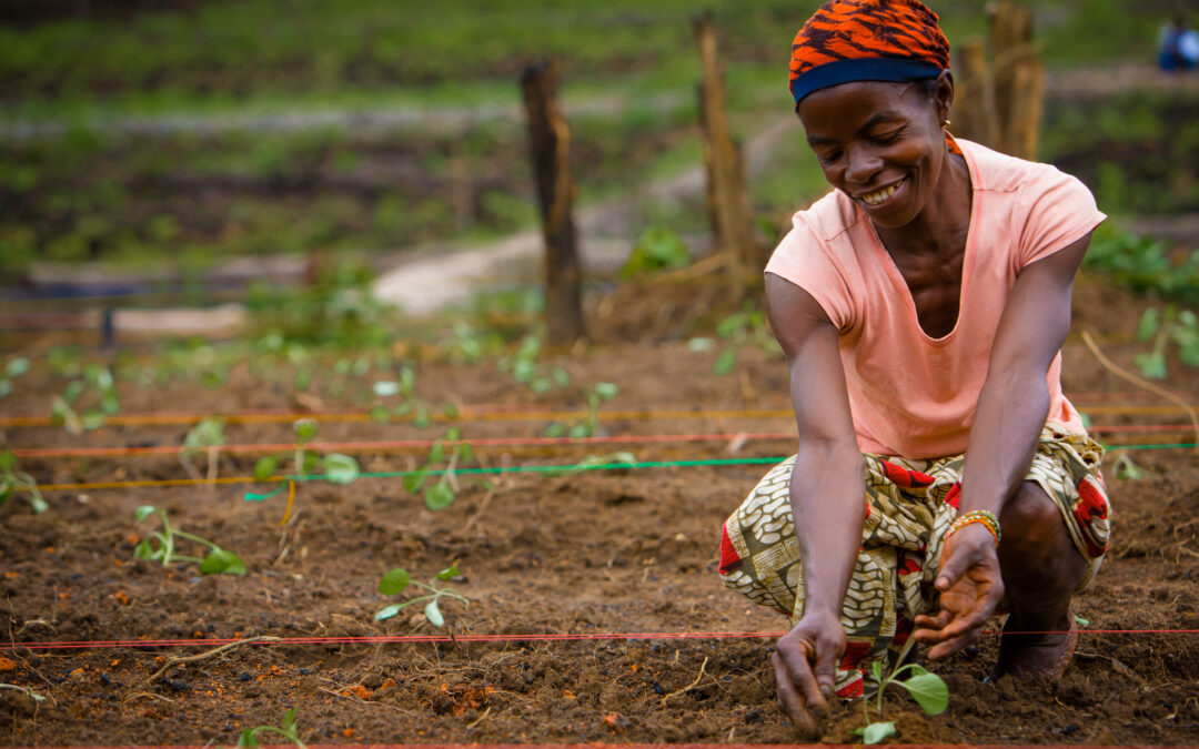 World Food Day: A Renewal of Collective Action