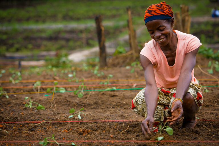 World Food Day: A Renewal of Collective Action
