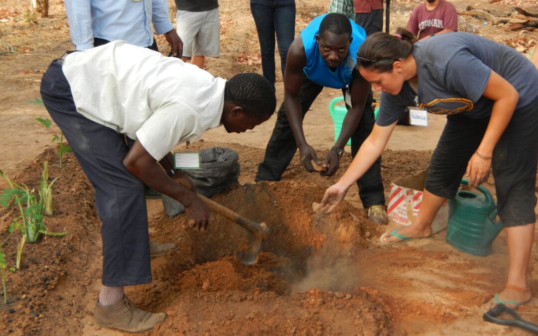 Crossing Cultural and Linguistic Boundaries: International Volunteer Day