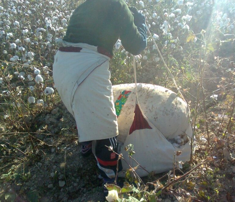 Slavery in the Seams