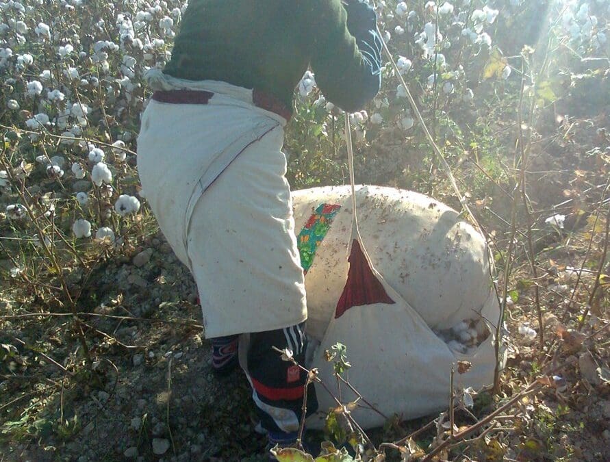 Slavery in the Seams