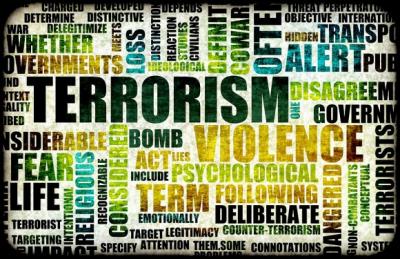 Cell Phones vs. Terrorist Cells?