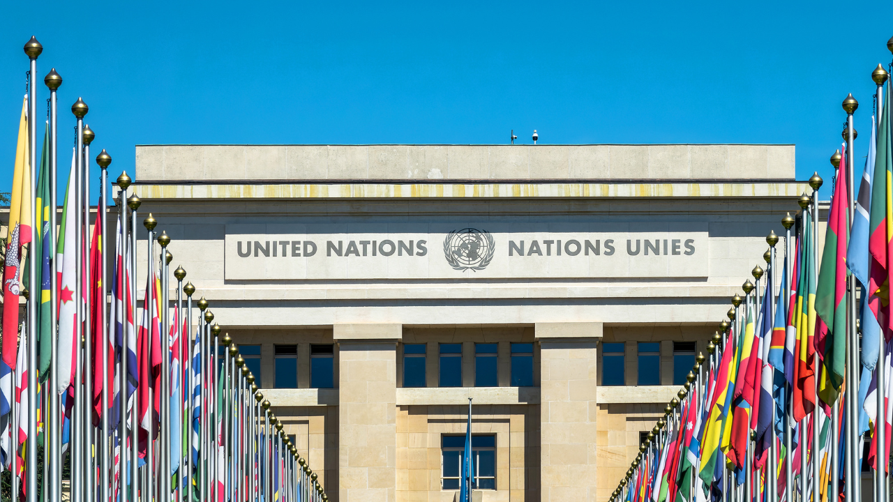 Strengthen the United Nations